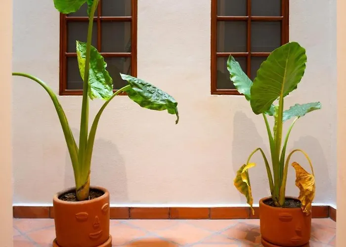 Dh7 Amazing 2beds Full In Zocalo Location Apartment